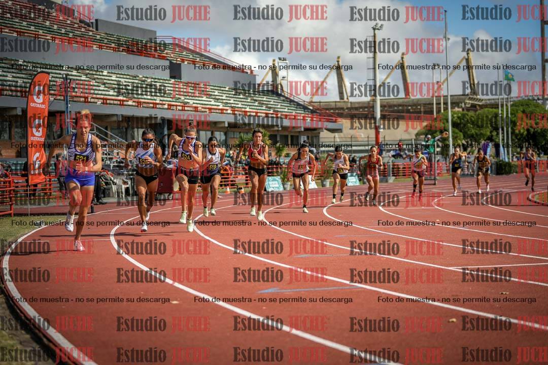 Fotos de los 800 m llanos de mujeres