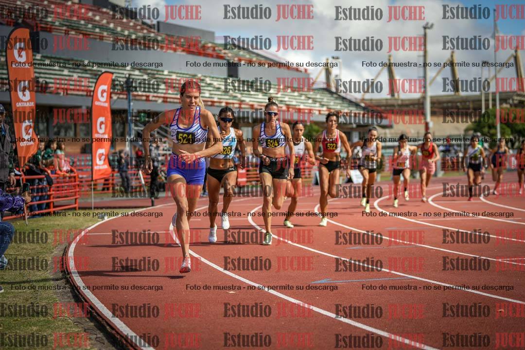 Fotos de los 800 m llanos de mujeres
