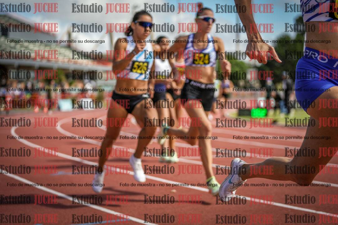 Fotos de los 800 m llanos de mujeres