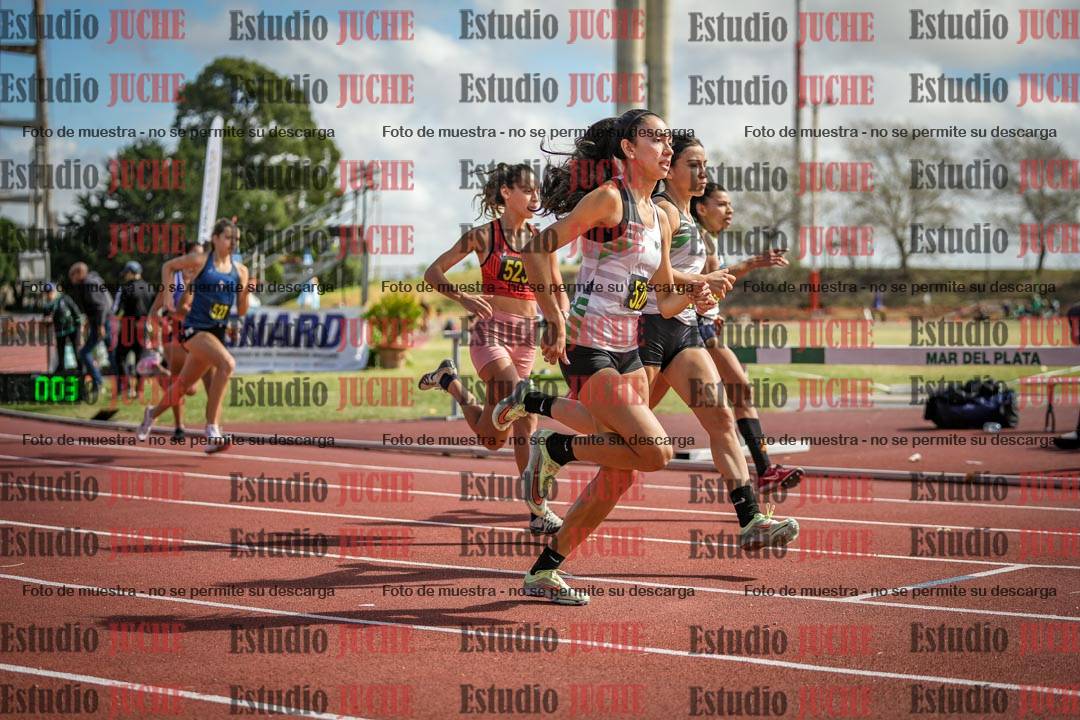 Fotos de los 800 m llanos de mujeres