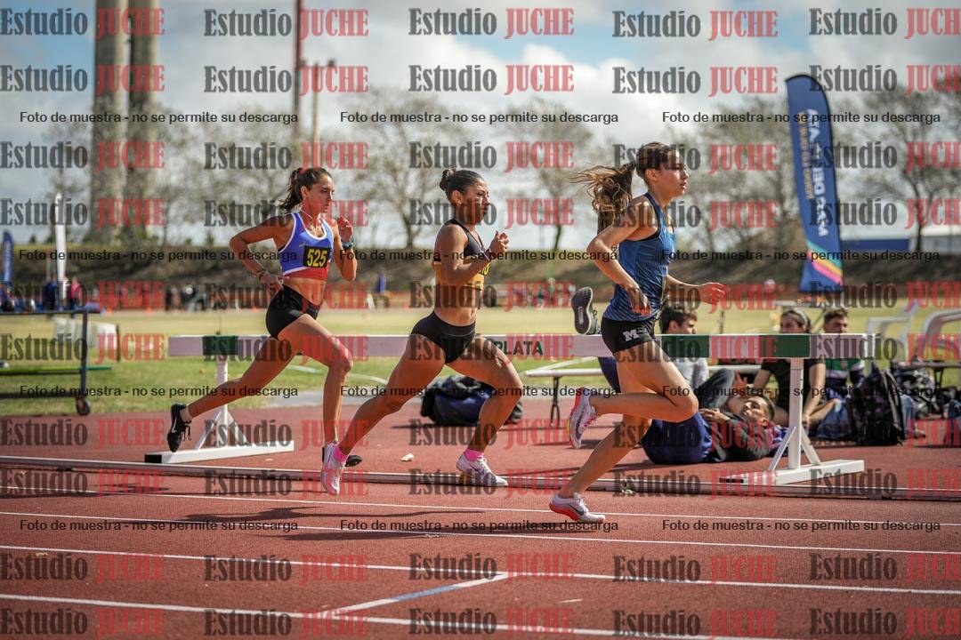Fotos de los 800 m llanos de mujeres