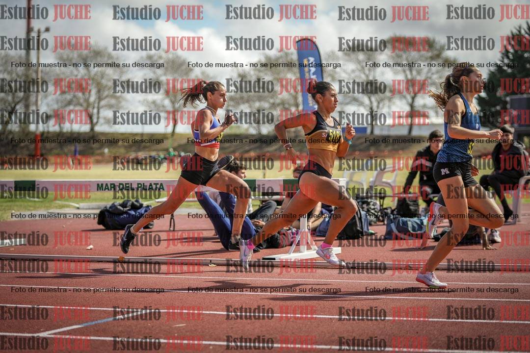 Fotos de los 800 m llanos de mujeres