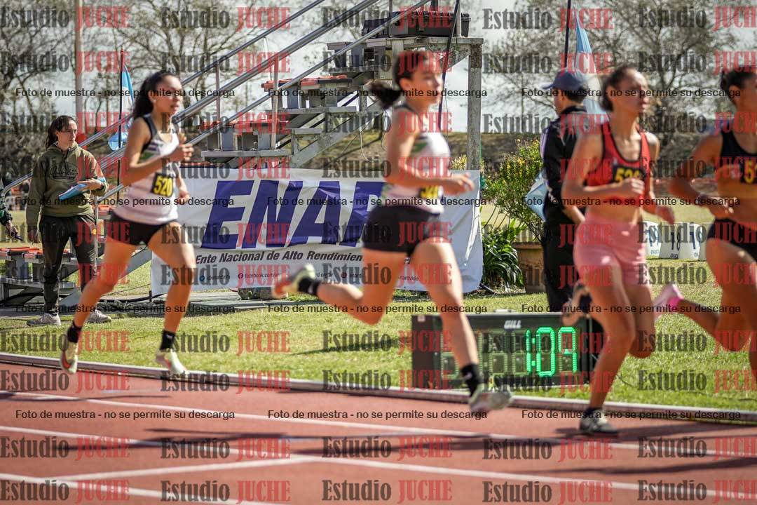 Fotos de los 800 m llanos de mujeres