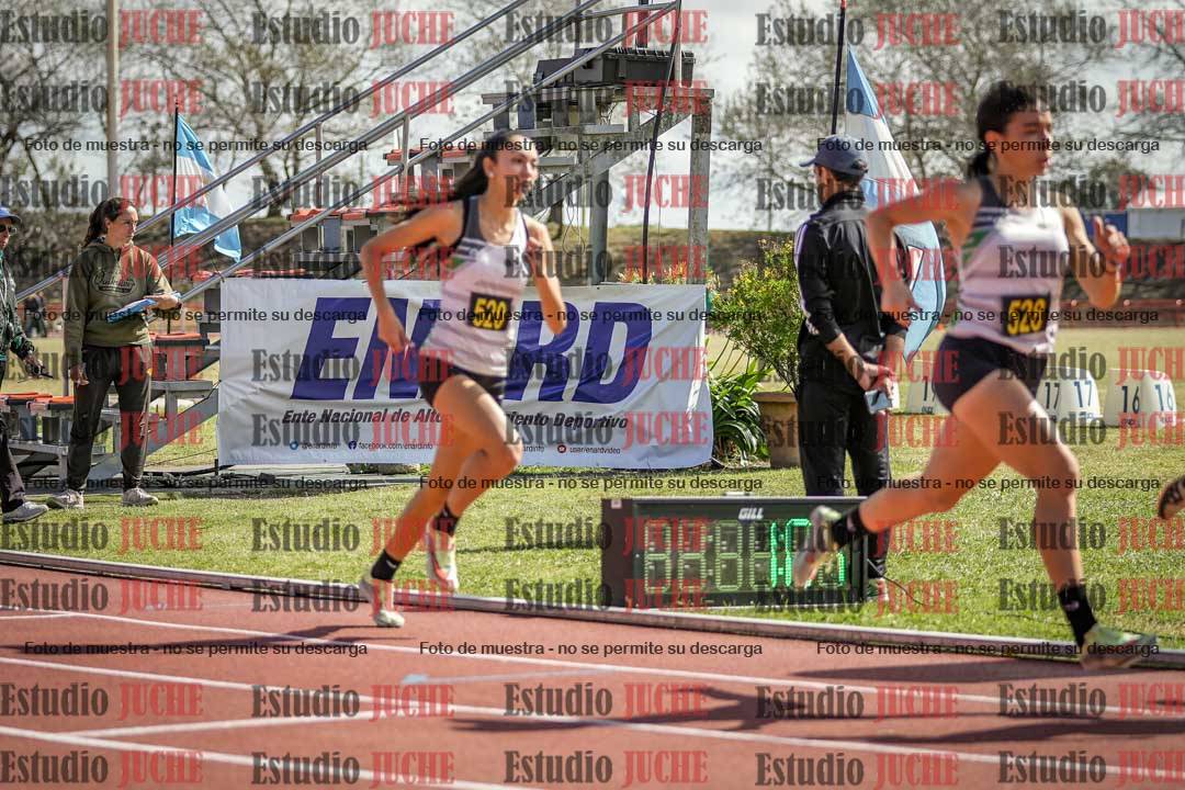 Fotos de los 800 m llanos de mujeres