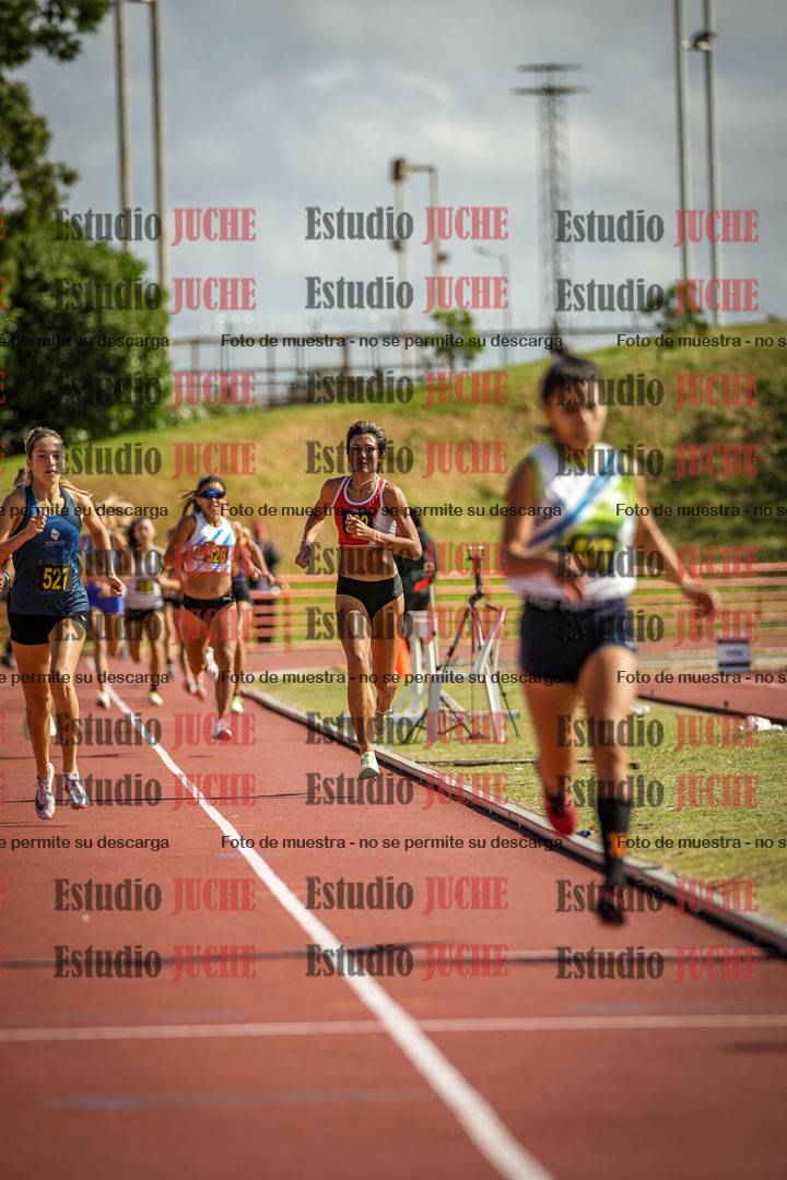 Fotos de los 800 m llanos de mujeres