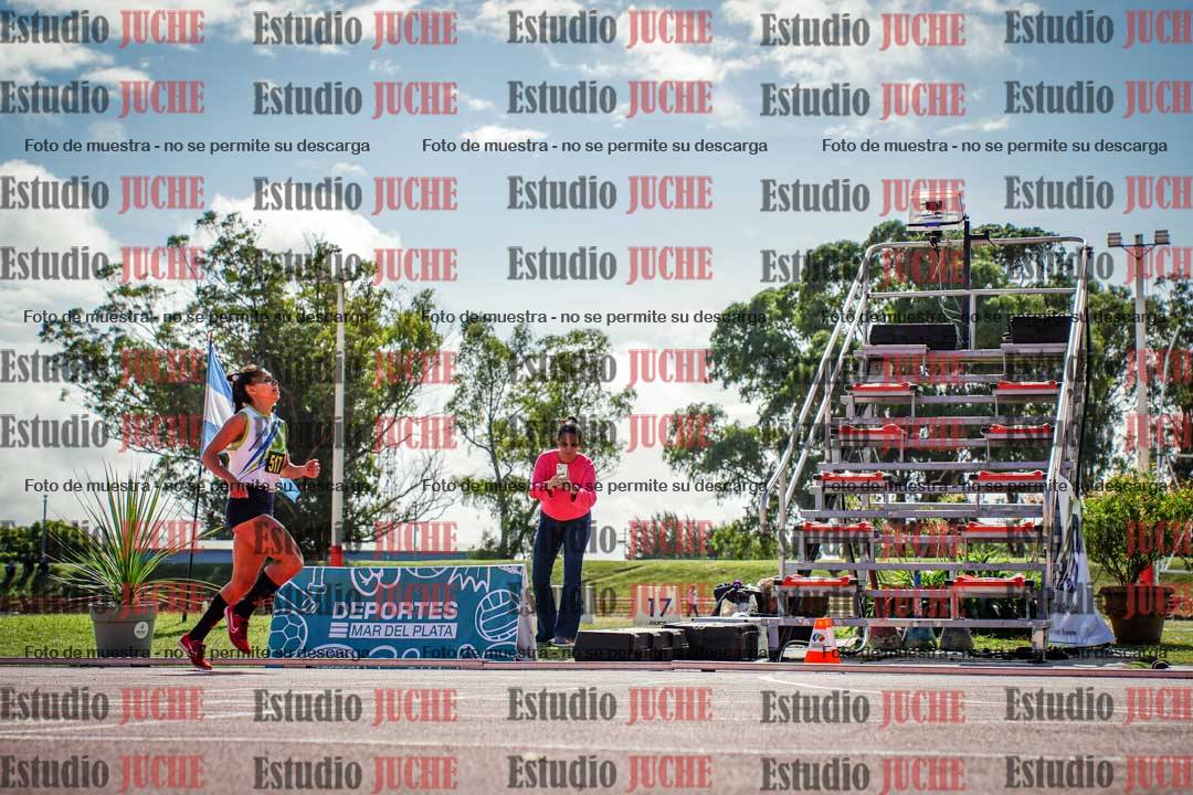 Fotos de los 800 m llanos de mujeres