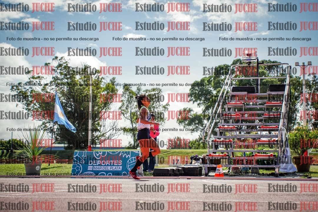 Fotos de los 800 m llanos de mujeres