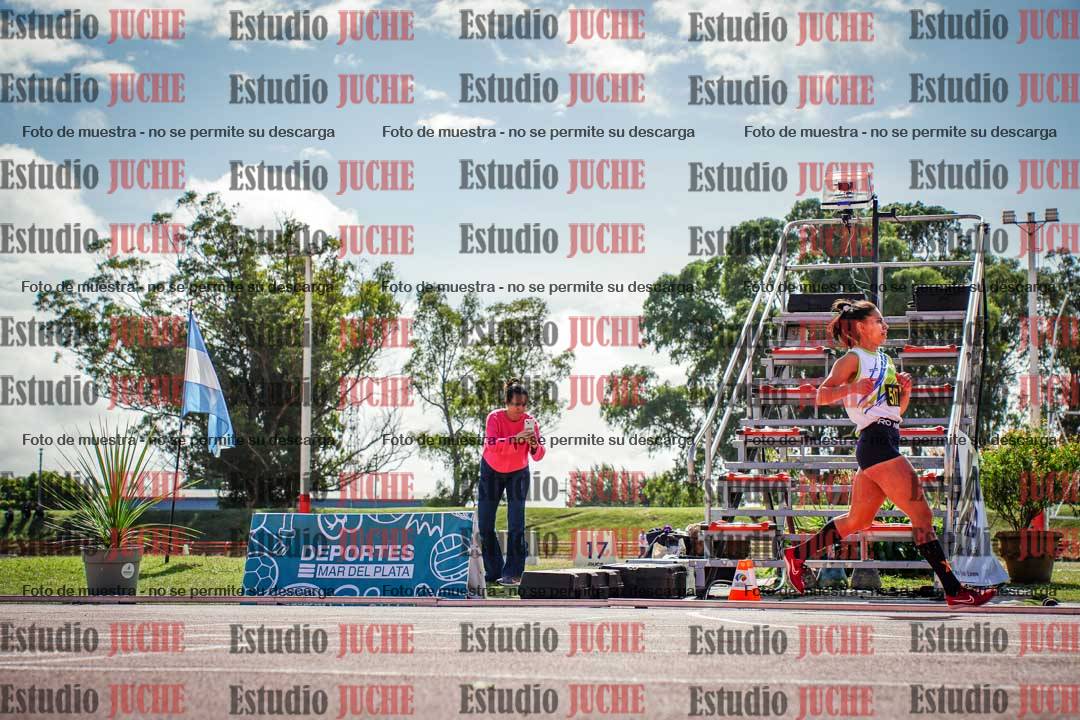 Fotos de los 800 m llanos de mujeres