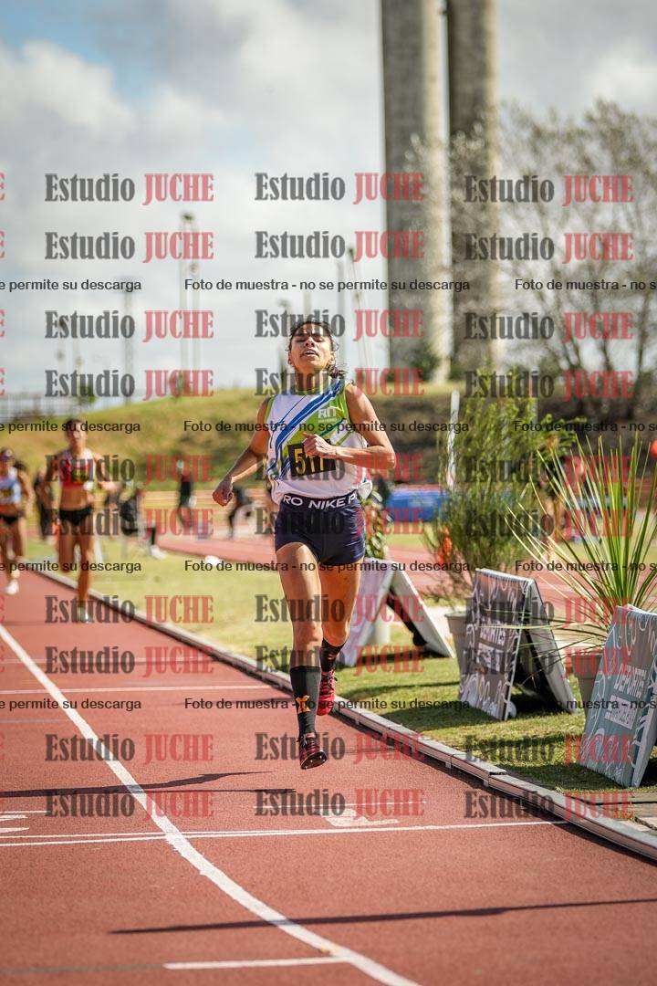 Fotos de los 800 m llanos de mujeres