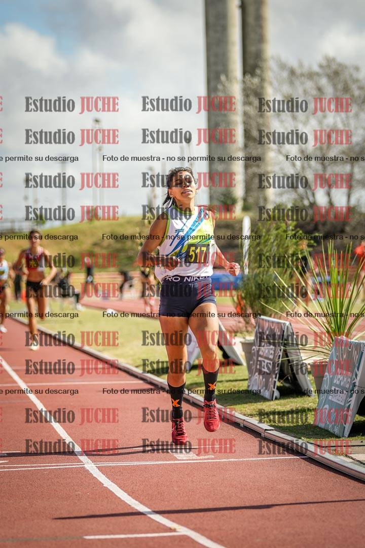 Fotos de los 800 m llanos de mujeres