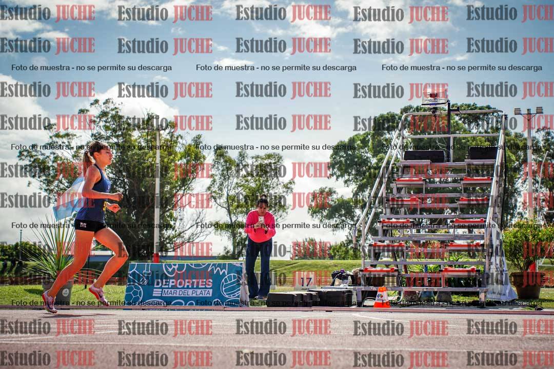 Fotos de los 800 m llanos de mujeres