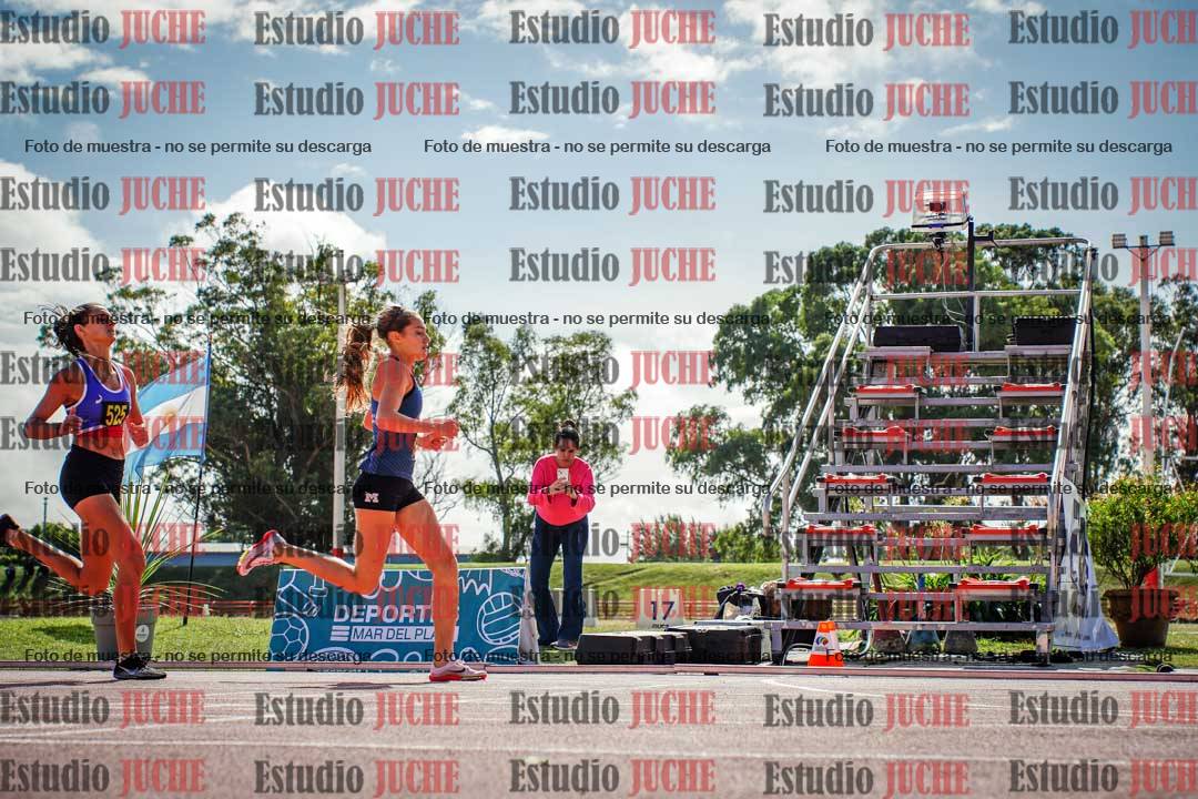 Fotos de los 800 m llanos de mujeres
