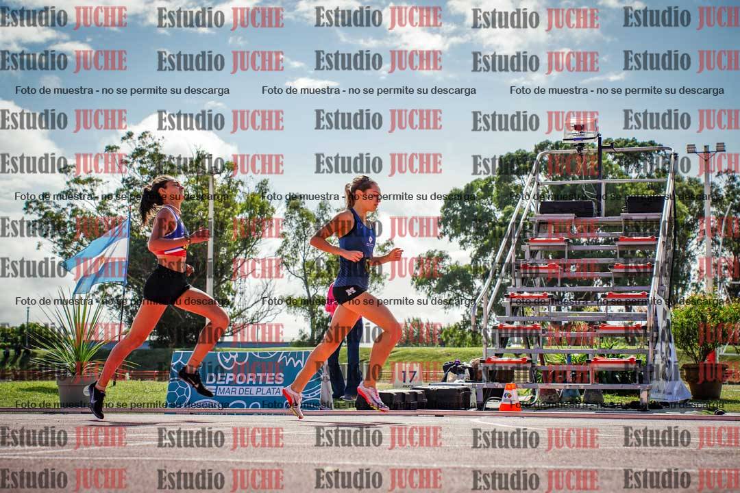 Fotos de los 800 m llanos de mujeres