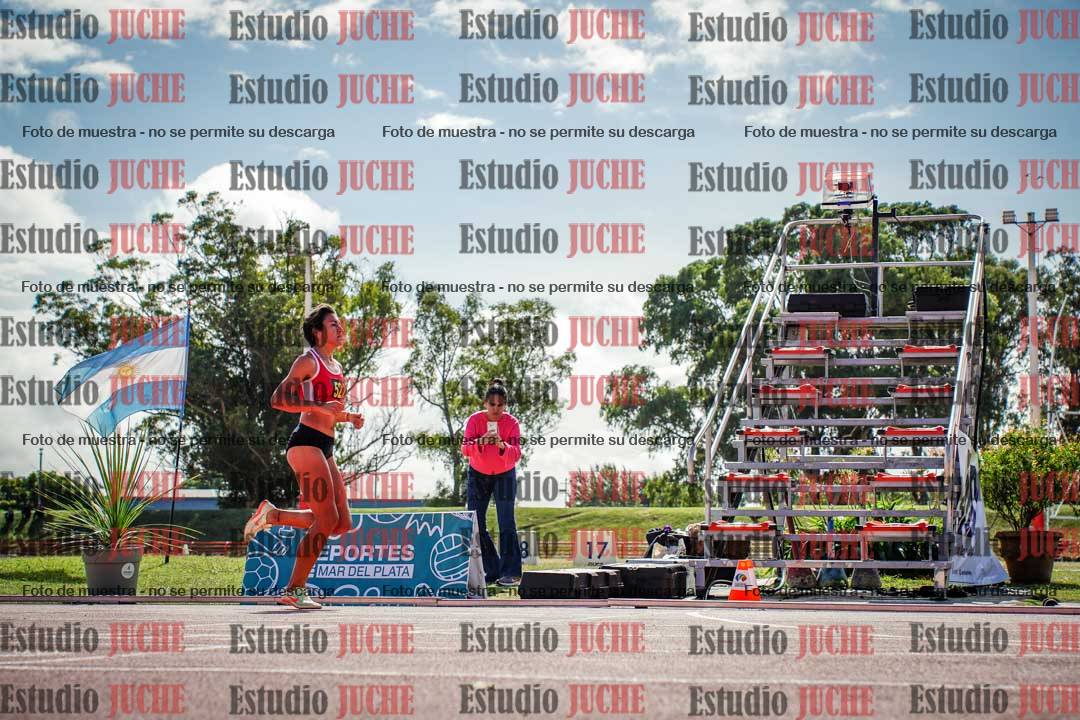 Fotos de los 800 m llanos de mujeres