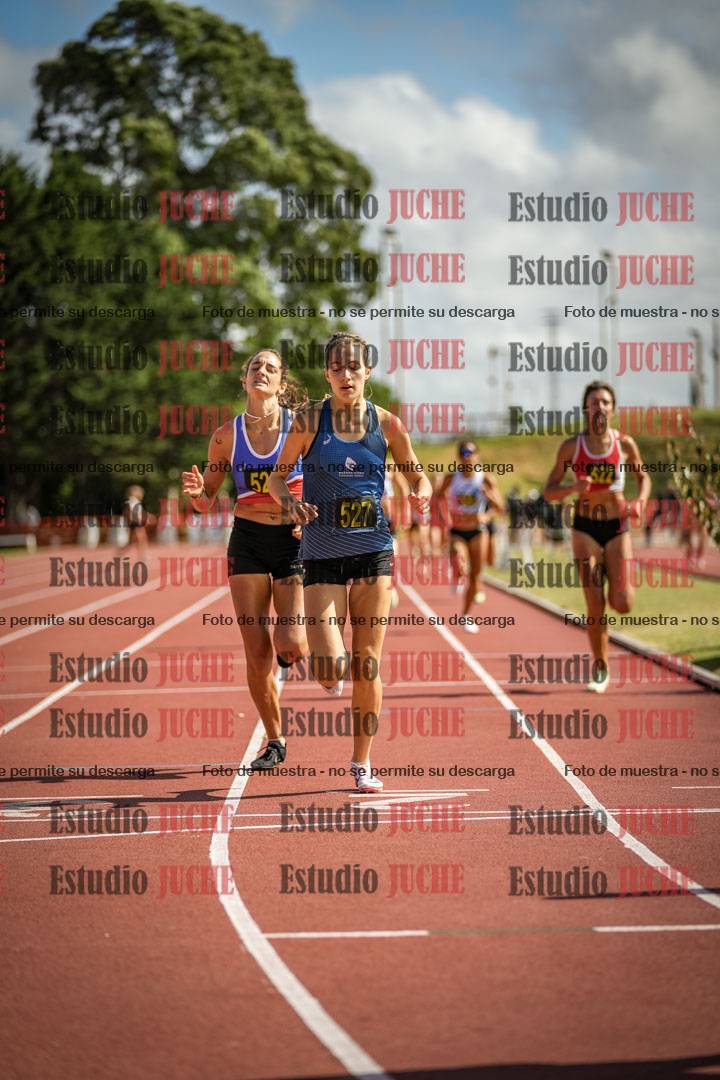 Fotos de los 800 m llanos de mujeres