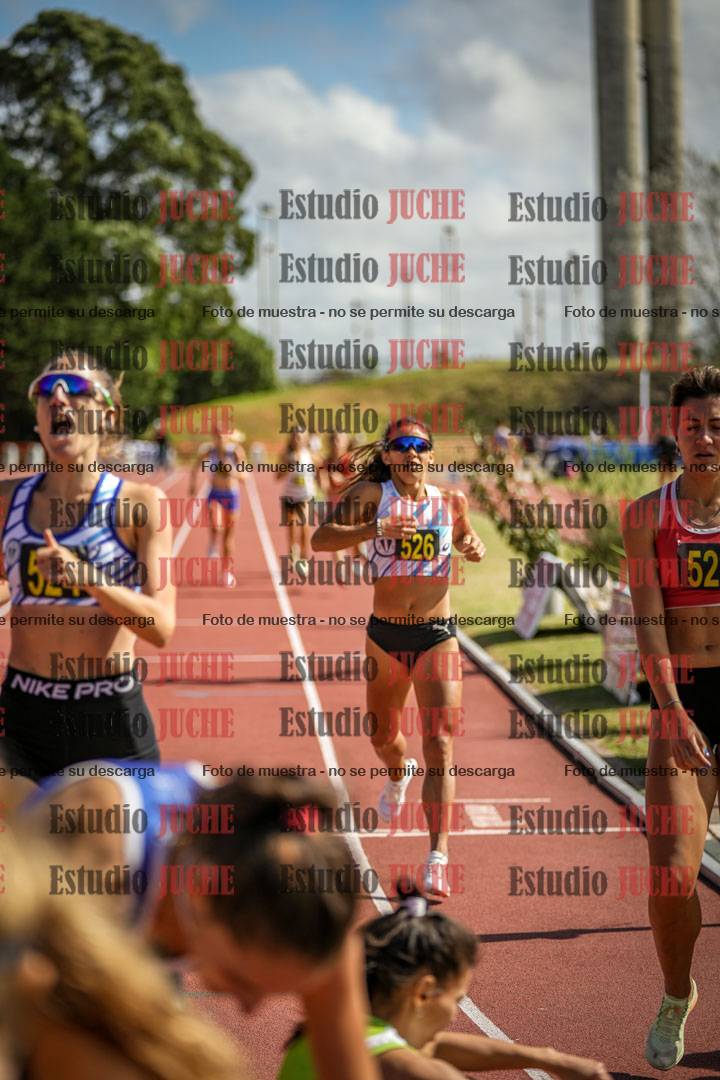 Fotos de los 800 m llanos de mujeres