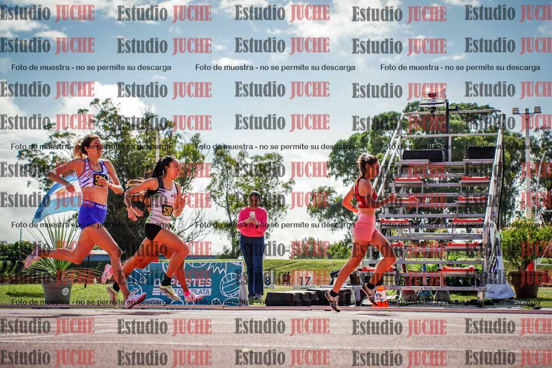 Fotos de los 800 m llanos de mujeres