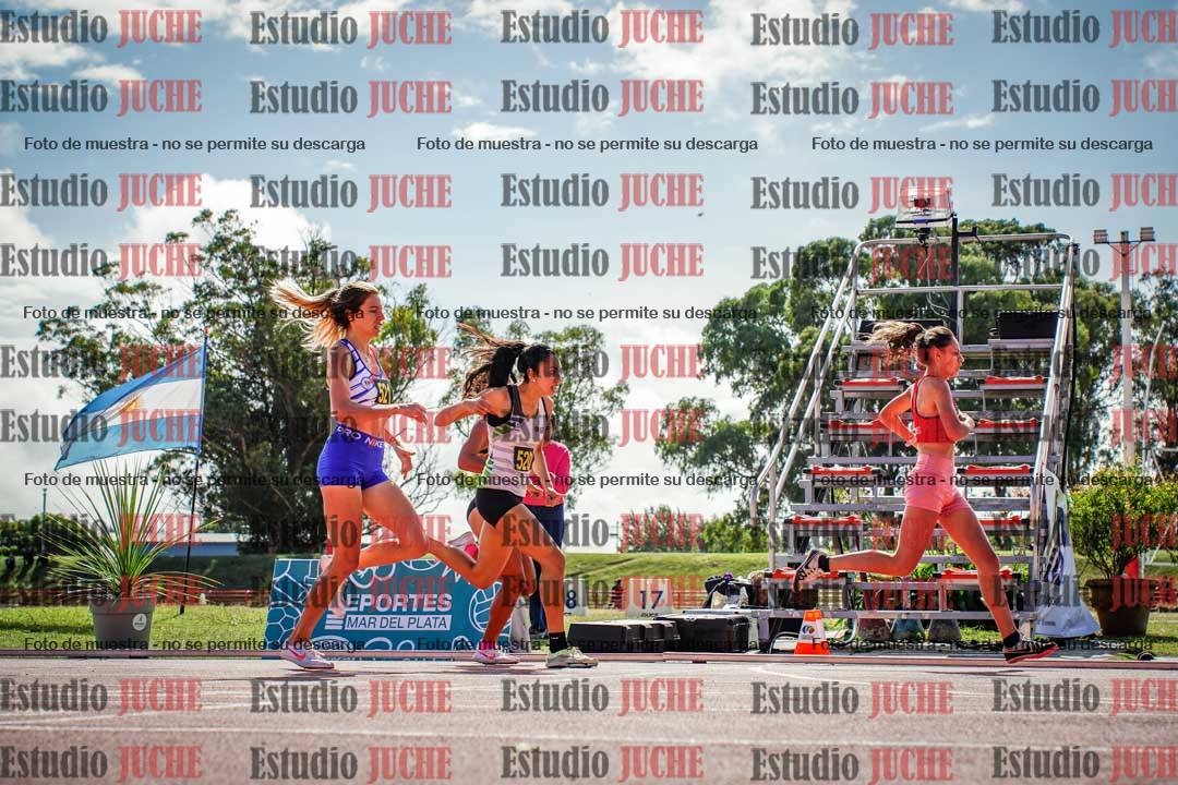 Fotos de los 800 m llanos de mujeres
