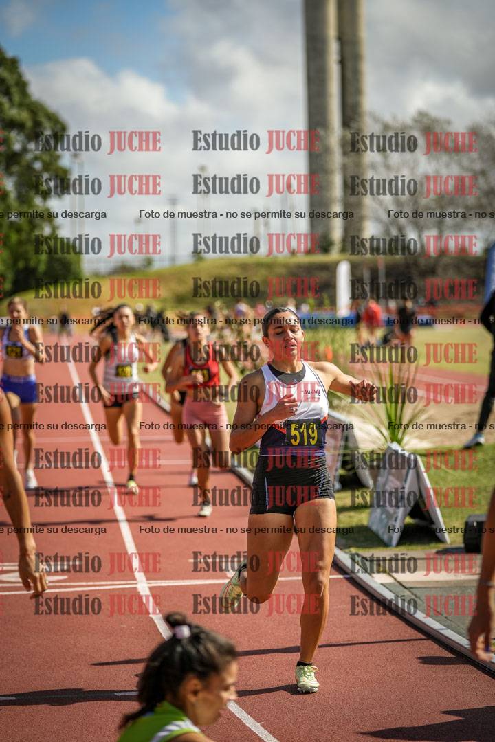 Fotos de los 800 m llanos de mujeres