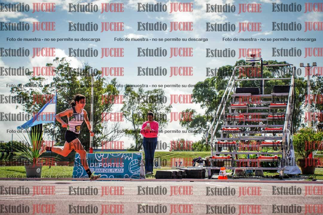 Fotos de los 800 m llanos de mujeres
