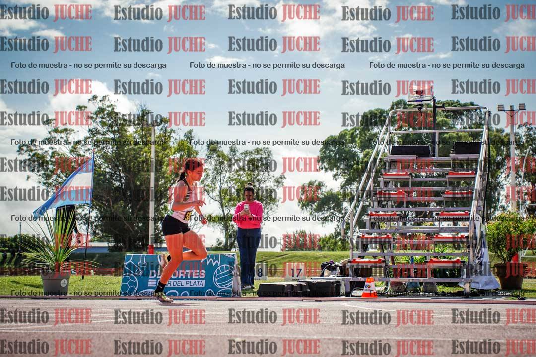 Fotos de los 800 m llanos de mujeres