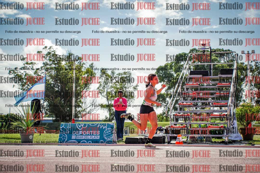 Fotos de los 800 m llanos de mujeres