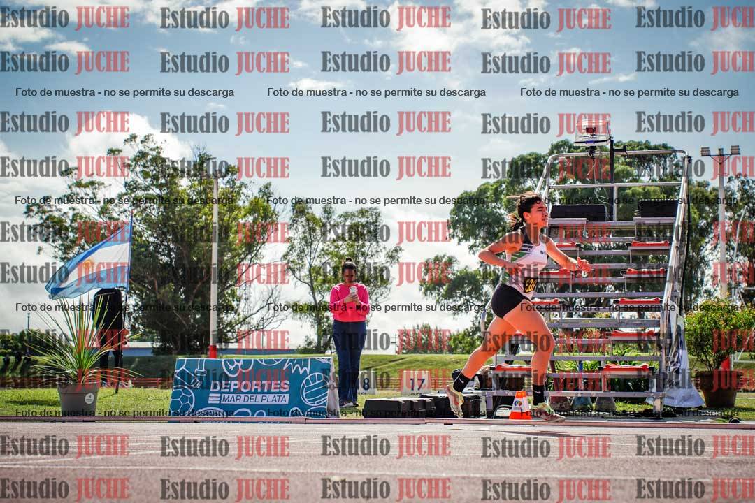 Fotos de los 800 m llanos de mujeres