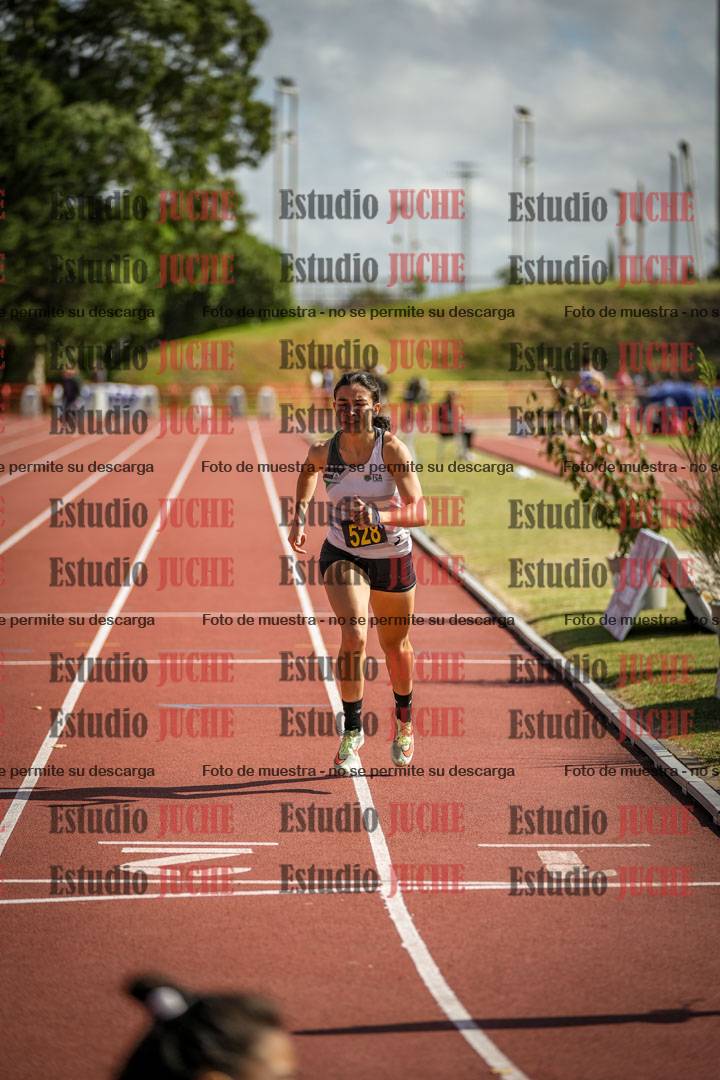 Fotos de los 800 m llanos de mujeres