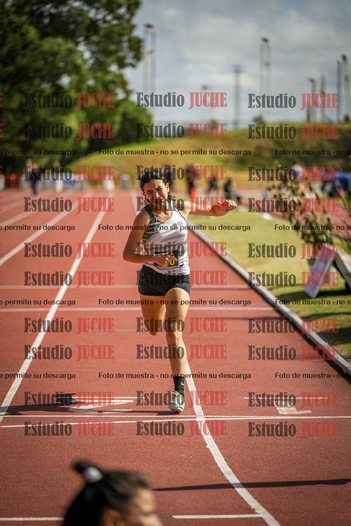 Fotos de los 800 m llanos de mujeres