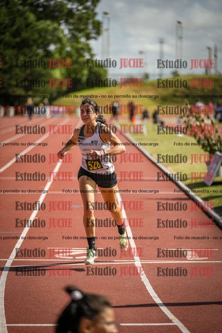 Fotos de los 800 m llanos de mujeres