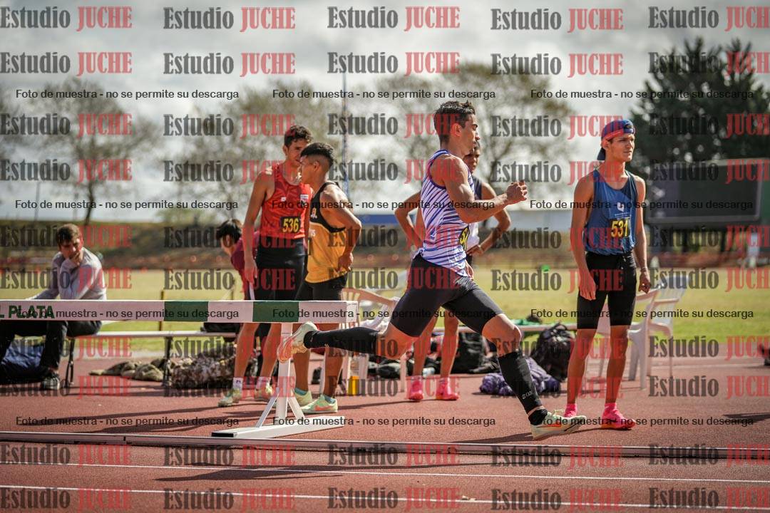 Fotos de los 800 m llanos de varones