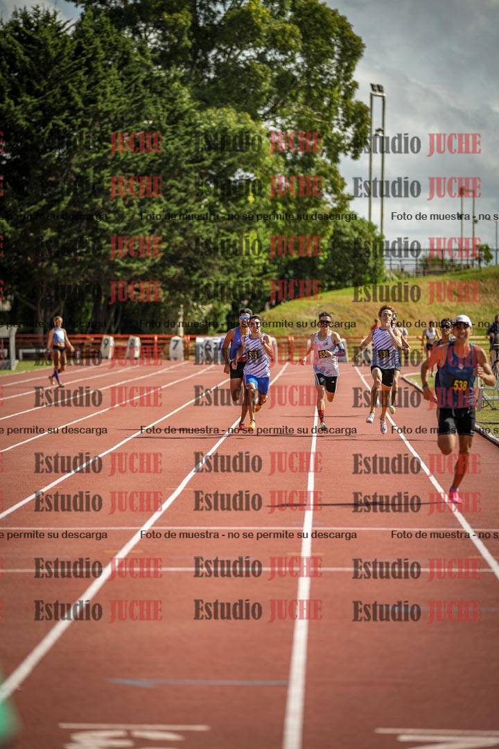 Fotos de los 800 m llanos de varones