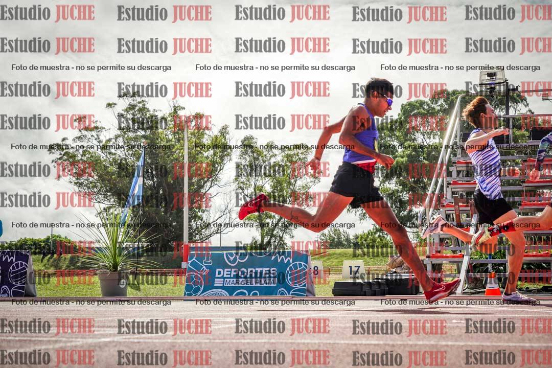 Fotos de los 800 m llanos de varones