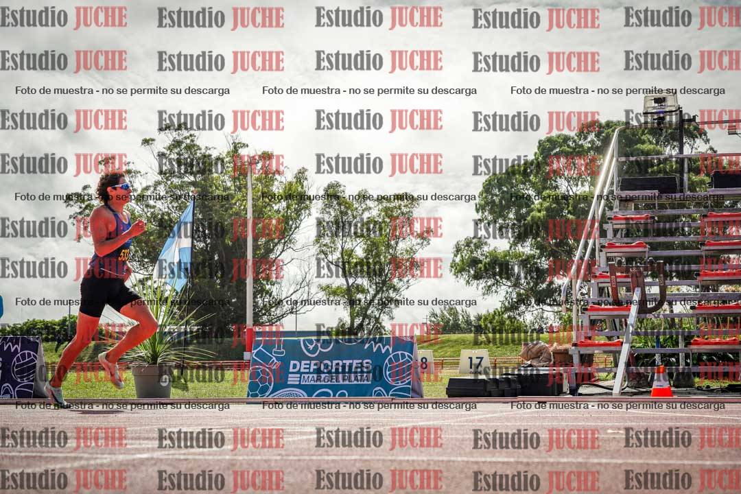 Fotos de los 800 m llanos de varones