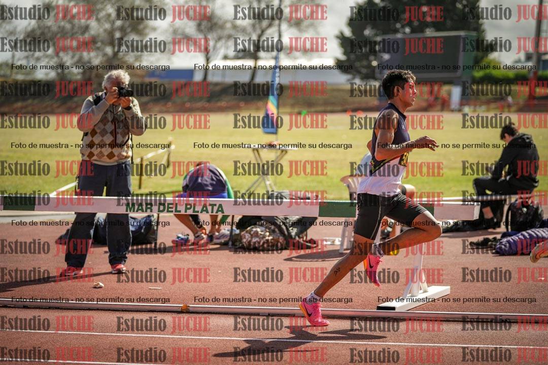 Fotos de los 800 m llanos de varones