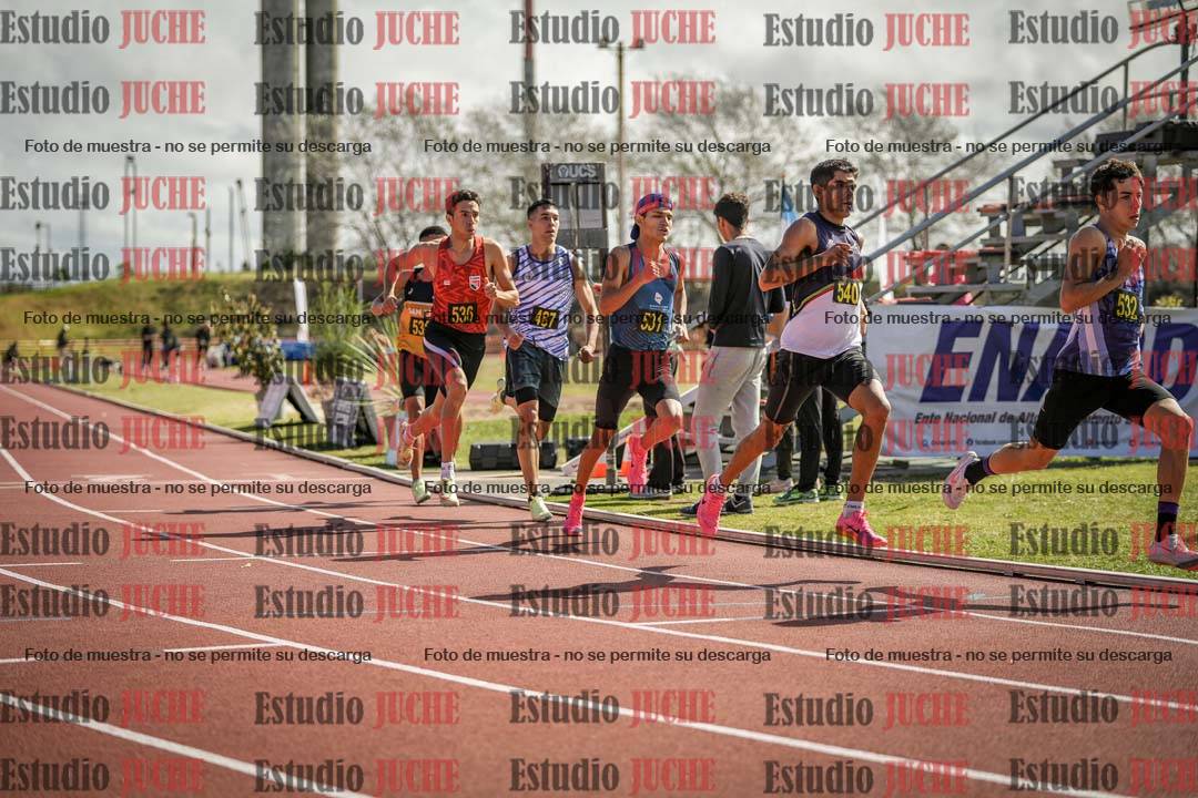 Fotos de los 800 m llanos de varones