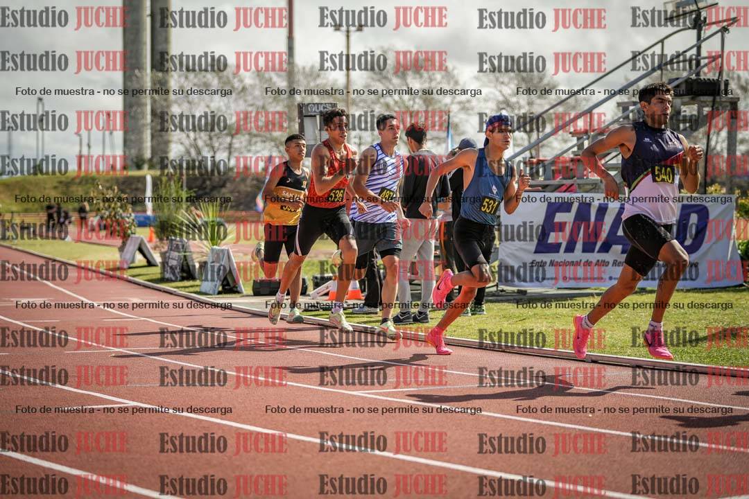 Fotos de los 800 m llanos de varones