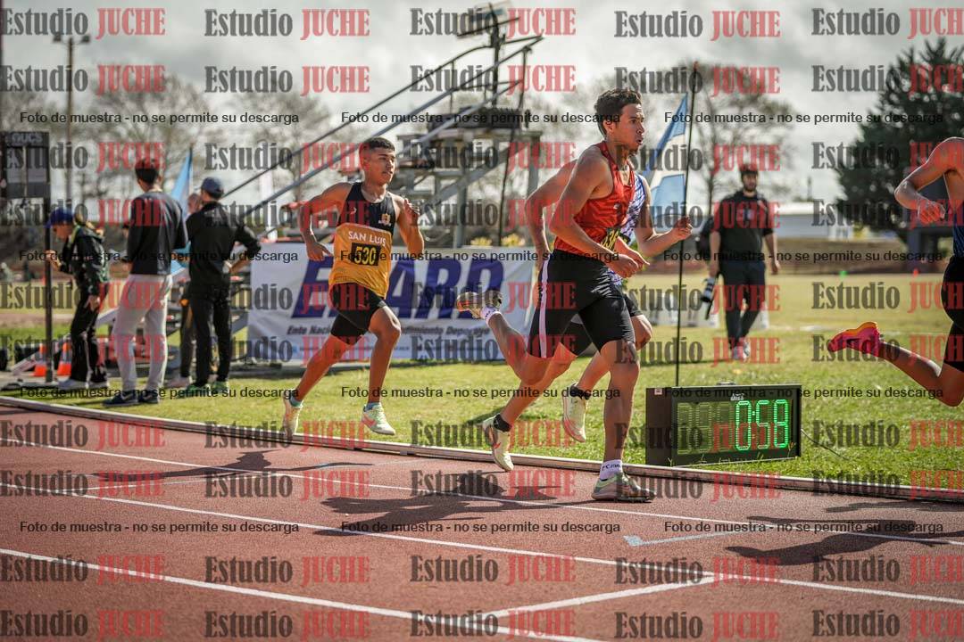 Fotos de los 800 m llanos de varones