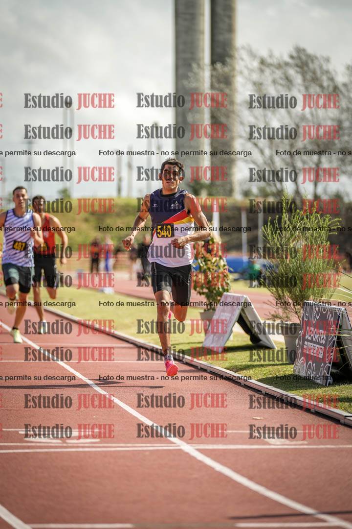 Fotos de los 800 m llanos de varones