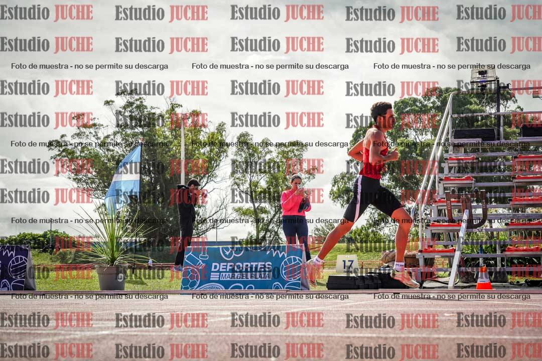 Fotos de los 800 m llanos de varones