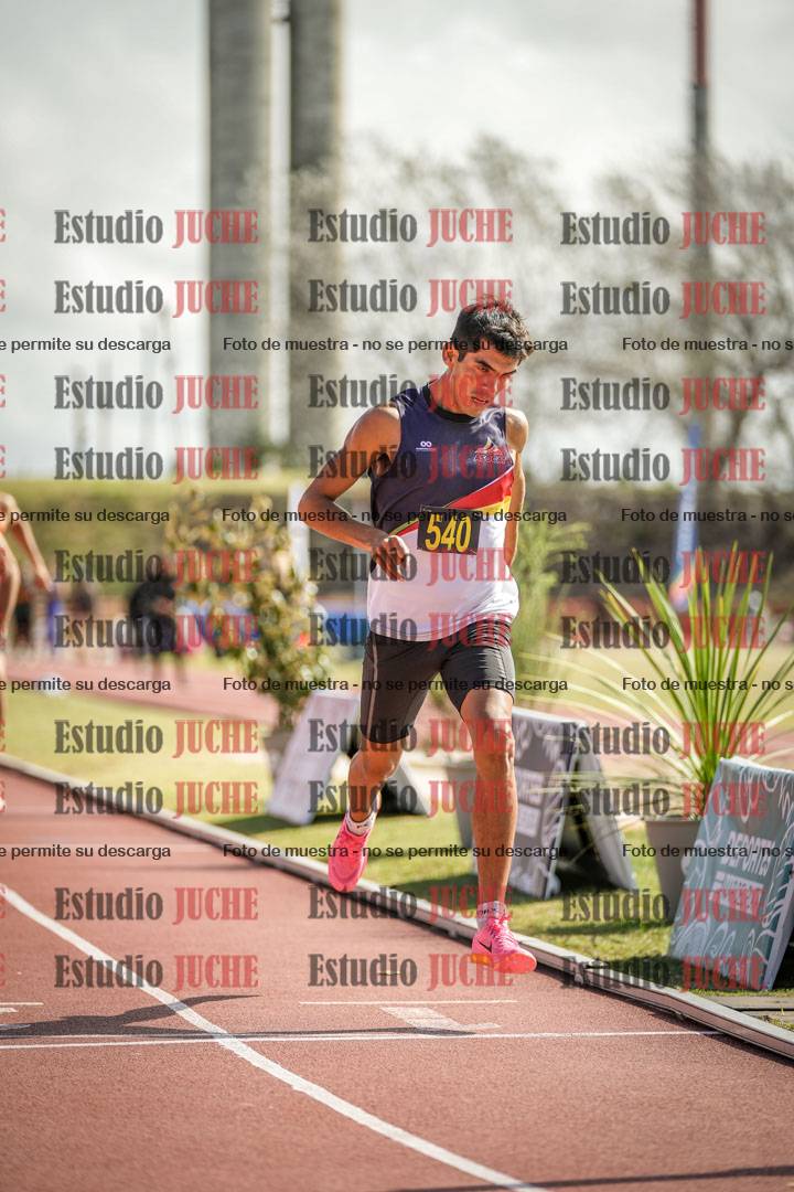 Fotos de los 800 m llanos de varones