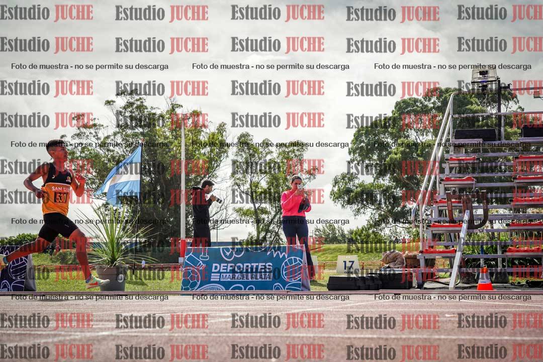 Fotos de los 800 m llanos de varones