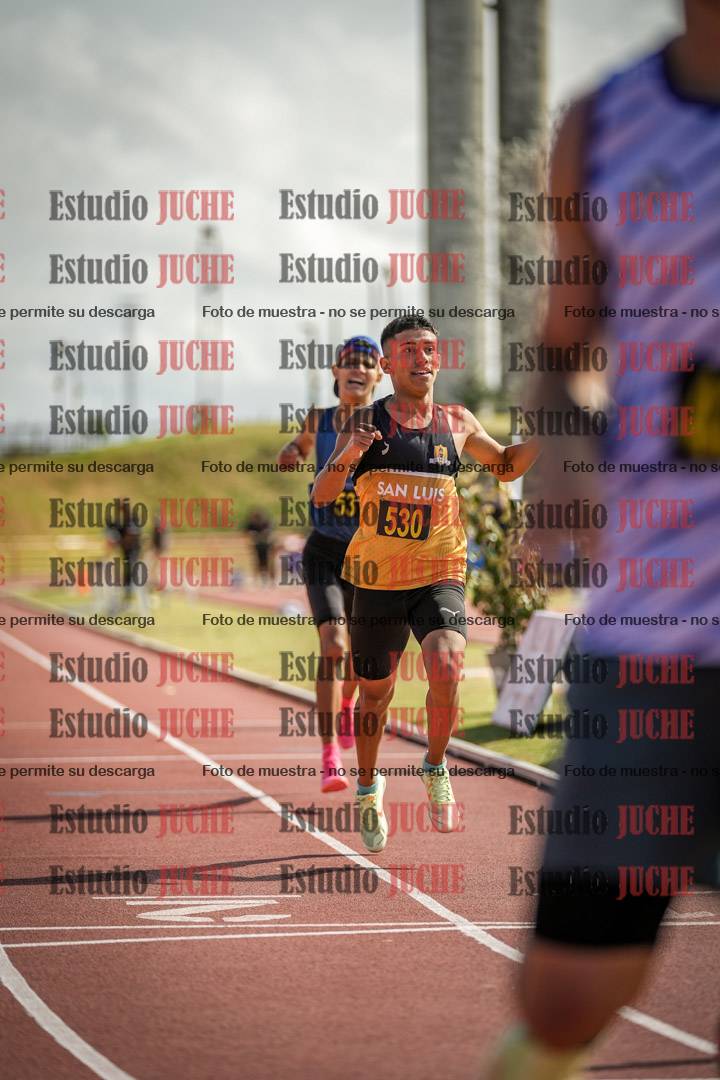 Fotos de los 800 m llanos de varones