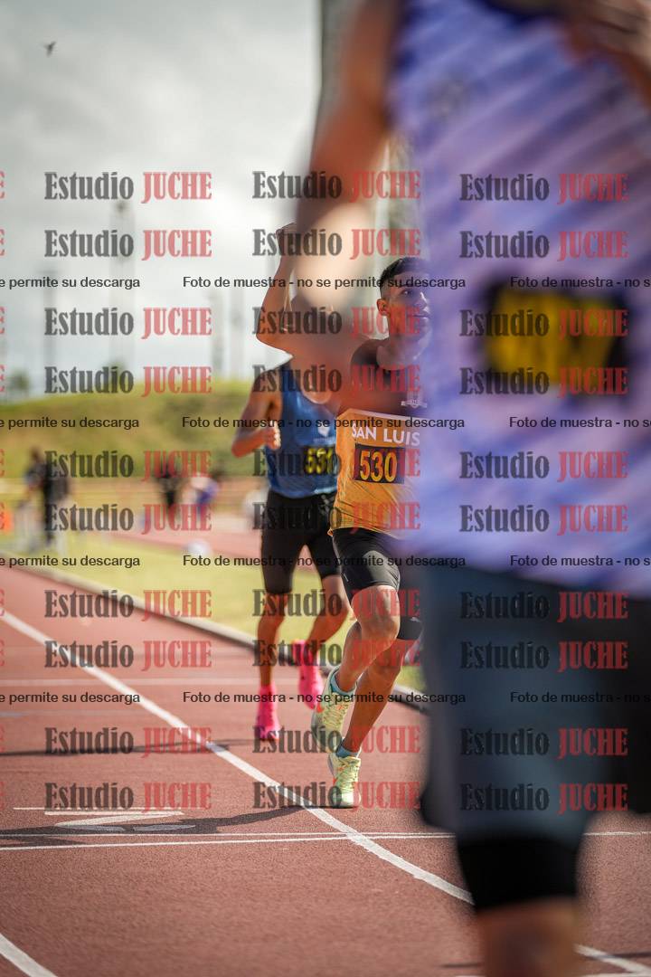 Fotos de los 800 m llanos de varones