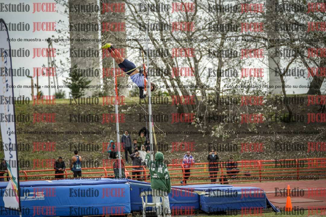 Fotos del salto con garrocha de varones