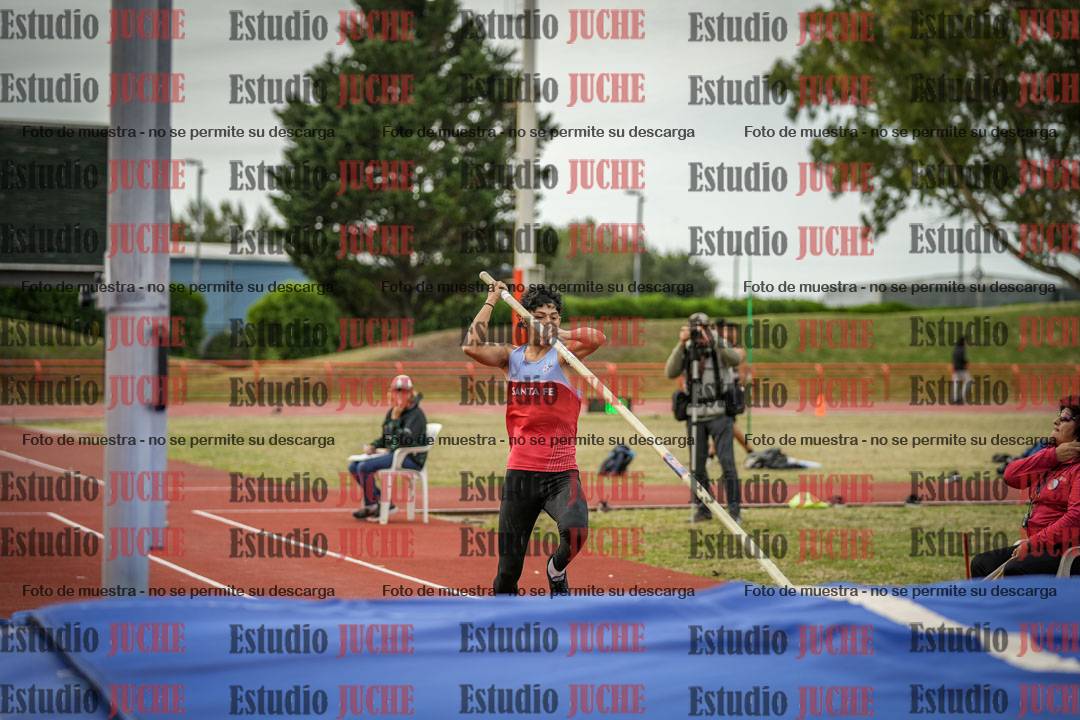 Fotos del salto con garrocha de varones