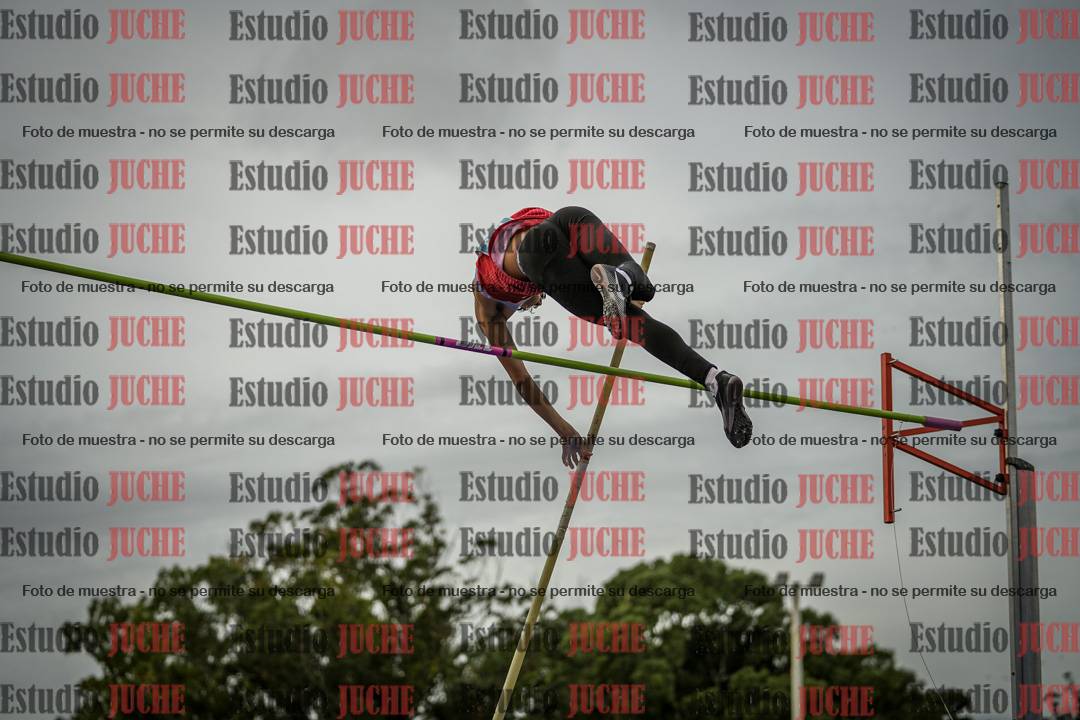 Fotos del salto con garrocha de varones