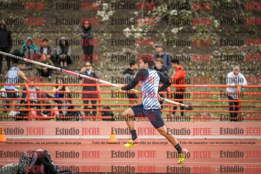 Fotos del salto con garrocha de varones