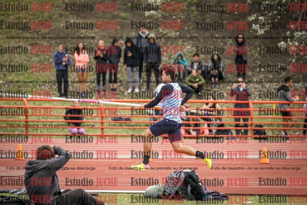 Fotos del salto con garrocha de varones