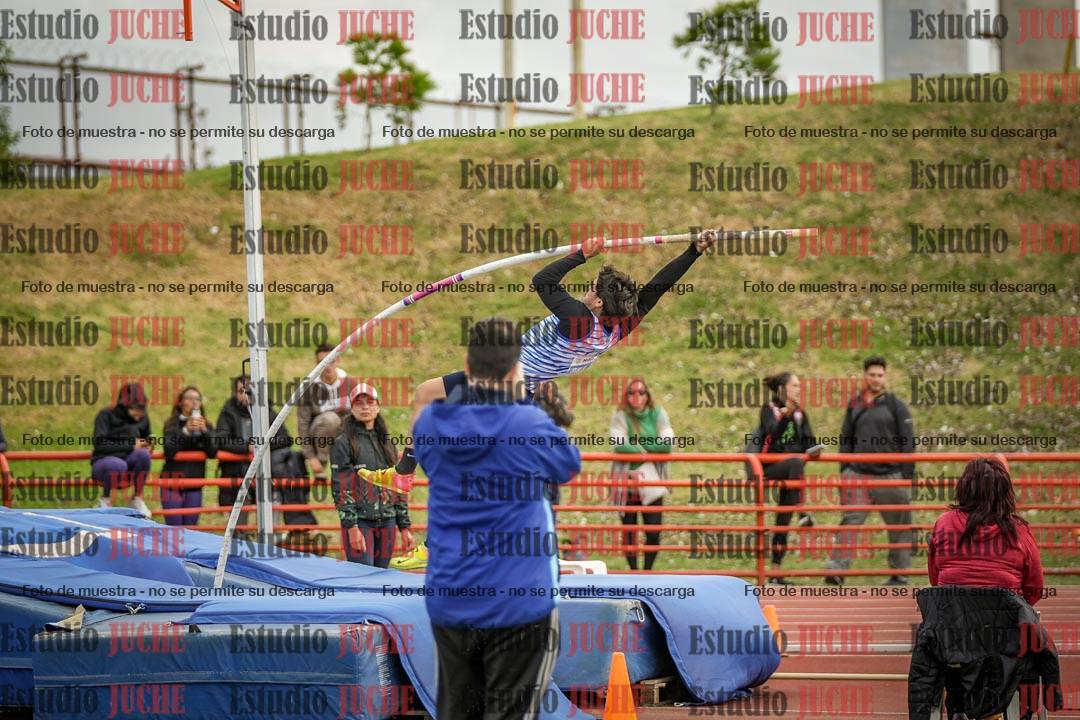 Fotos del salto con garrocha de varones